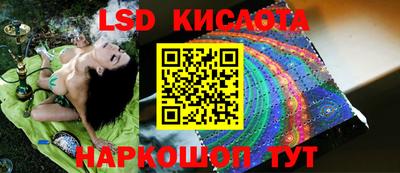 дмт Бердск