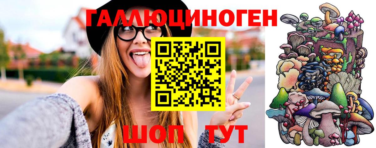 Псилоцибиновые грибы прущие грибы  Вход с VPN  Йошкар-Ола 